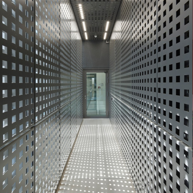 ��Ⱦ�����о�����