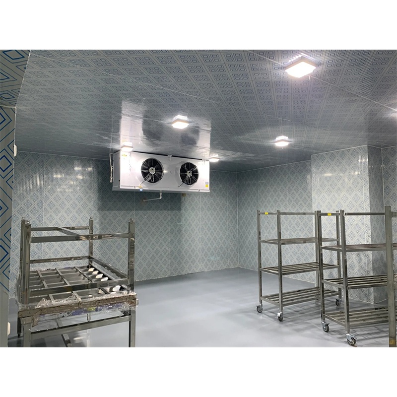 �F(xi��n)����Ƭ